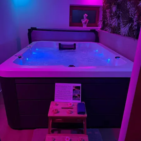 Indépendant - Formule Jacuzzi Massant Et Privatisé - Proche Du Parc Le Pal Et De Vichy - Allier 03 Appartamento
